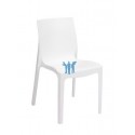 SILLA MONOBLOC M1110