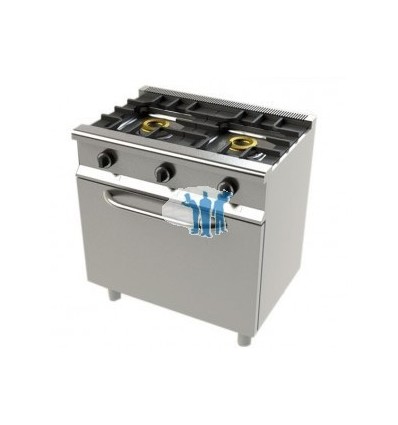 Cocina industrial a gas 2 fuegos con horno